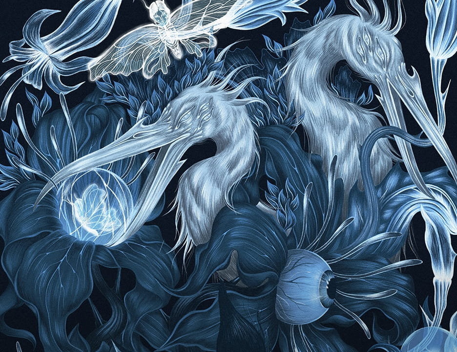 Tajemný svět Medicine